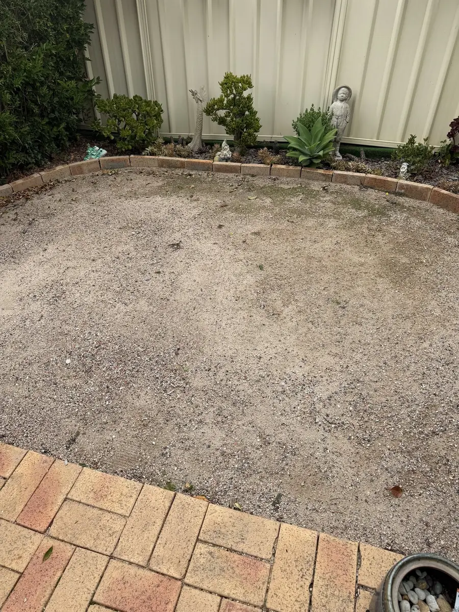 Before: Dirt patch to lawn